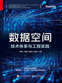《数据空间：技术体系与工程实践》-林传文