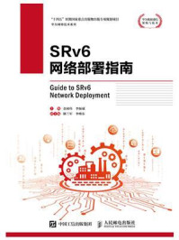 《SRv6网络部署指南》-金闽伟