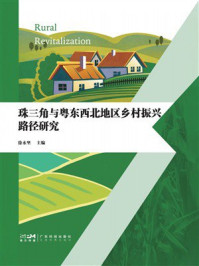 《珠三角与粤东西北地区乡村振兴路径研究》-徐永坚