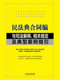《民法典合同编与司法解释、相关规定及典型案例指引》-中国法制出版社