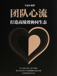《团队心流:打造高绩效协同生态》-王远志 《团队心流:打造高绩效协同生态》-王远志
