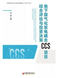 《地下煤气化发电耦合CCS项目综合评估与投资决策》-冯烨