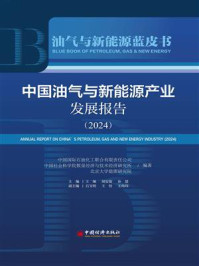 《中国油气与新能源产业发展报告（2024）》-王佩