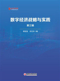 《数字经济战略与实践．第三辑》-尤元文
