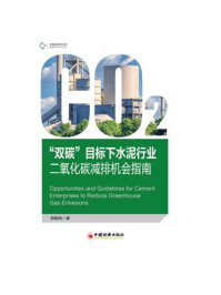 《“双碳”目标下水泥行业二氧化碳减排机会指南》-郭敏晓