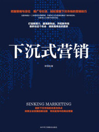 《下沉式营销》-李恺阳 《下沉式营销》-李恺阳