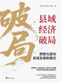 《县域经济破局:数智化驱动县域发展新模式》-刘丁蓉 《县域经济破局:数智化驱动县域发展新模式》-刘丁蓉