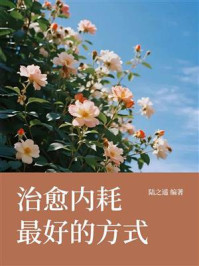 《治愈内耗最好的方式》-陆之遥