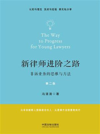 《新律师进阶之路：非诉业务的思维与方法（第二版）》-冯清清