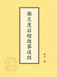 《点校本：佛灭度后棺敛葬送经》-佚名