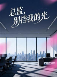 《总监，别挡我的光》-MYHD