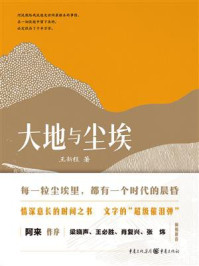 《大地与尘埃》-王新程 《大地与尘埃》-王新程