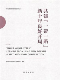 《共建“一带一路”新十年良好开局（中文版）》-新华社国家高端智库课题组