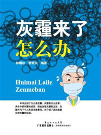 《灰霾来了怎么办》-林媚珍