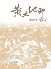 《黄土地印记》-张陆游