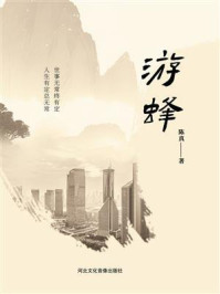 《游蜂》-陈真 《游蜂》-陈真