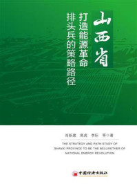 《山西省打造能源革命排头兵的策略路径》-肖新建 《山西省打造能源革命排头兵的策略路径》-肖新建