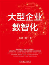 《大型企业数智化》-王文京 《大型企业数智化》-王文京