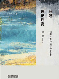《穿越理论迷雾：刑事司法的社会科学研究》-谢澍