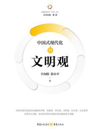 《中国式现代化的文明观》-辛向阳