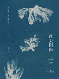 《迷失指南》-丽贝卡·索尔尼特