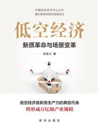 《低空经济》-朱克力