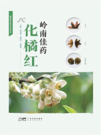 《岭南佳药化橘红》-梁远进