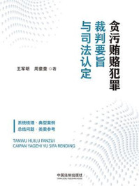 《贪污贿赂犯罪裁判要旨与司法认定》-王军明