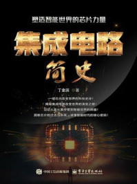 《集成电路简史:塑造智能世界的芯片力量》-丁金滨 《集成电路简史:塑造智能世界的芯片力量》-丁金滨