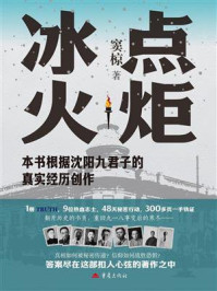 《冰点火炬》-窦椋