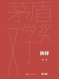 《抉择（茅盾文学奖获奖作品全集：典藏版）》-张平