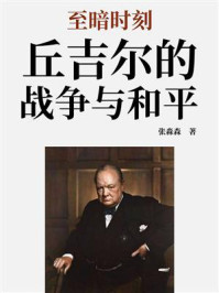 《至暗时刻:丘吉尔的战争与和平》-张淼森 《至暗时刻:丘吉尔的战争与和平》-张淼森