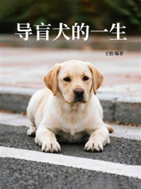 《导盲犬的一生》-王怡