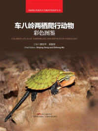 《车八岭两栖爬行动物彩色图鉴》-龚世平 《车八岭两栖爬行动物彩色图鉴》-龚世平