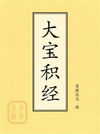 《点校本:大宝积经》-菩提流志 《点校本:大宝积经》-菩提流志