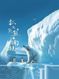 《抓只熊熊送南极》-王国宏