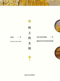 《树上的太阳》-安武林 《树上的太阳》-安武林
