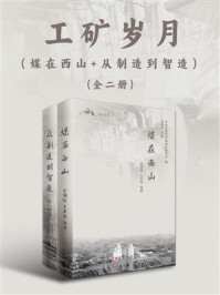 《工矿岁月篇（全2册）》-金朝晖