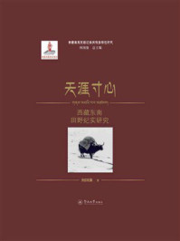 《天涯寸心：西藏东南田野纪实研究》-何国强