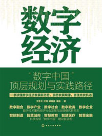 《数字经济：&ldquo;数字中国&rdquo;顶层规划与实践路径》-王亚卡