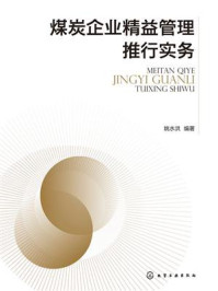 《煤炭企业精益管理推行实务》-姚水洪