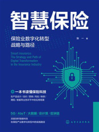 《智慧保险：保险业数字化转型战略与路径》-张一