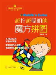 《越拧越聪明的魔方拼图》-王富博