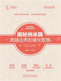 《揭秘纳米酶：跨越边界的催化智慧》-阎锡蕴