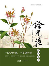 《铃儿花岭南印记》-战国强