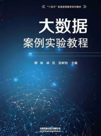 《大数据案例实验教程》-柳林