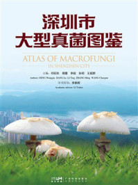 《深圳市大型真菌图鉴》-邓旺秋