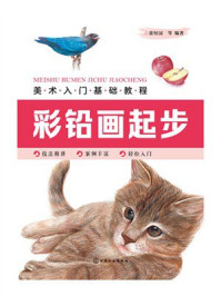 《美术入门基础教程：彩铅画起步》-张恒国