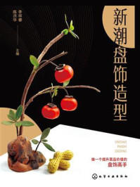 《新潮盘饰造型》-李祥睿