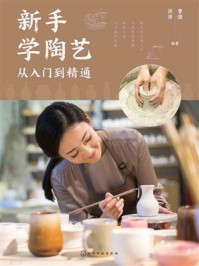 《新手学陶艺从入门到精通》-洪涛